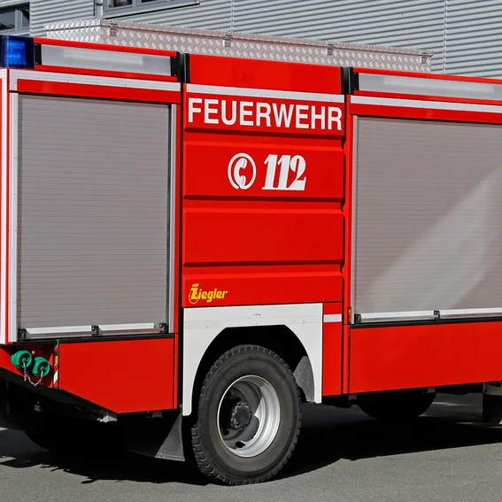 TLF_05.jpg