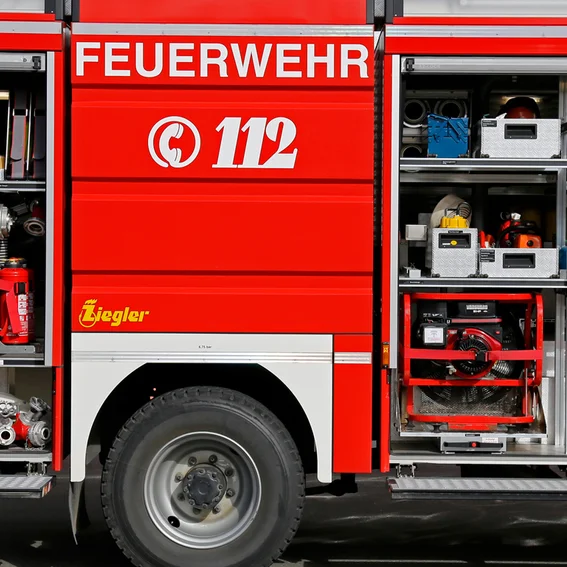 TLF_11.jpg